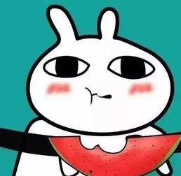 吃瓜群众图片可爱 头像