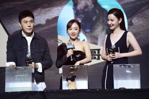 娱乐圈吃瓜爆料回放在哪看,揭秘热门事件幕后真相